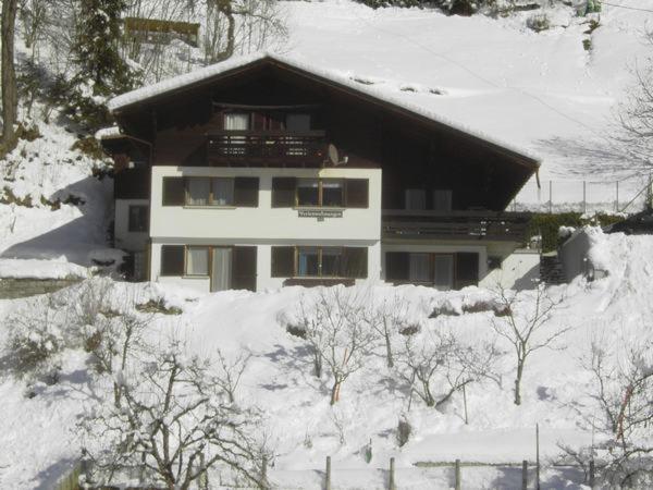 Gaestehaus Andrea Schruns Eksteriør bilde